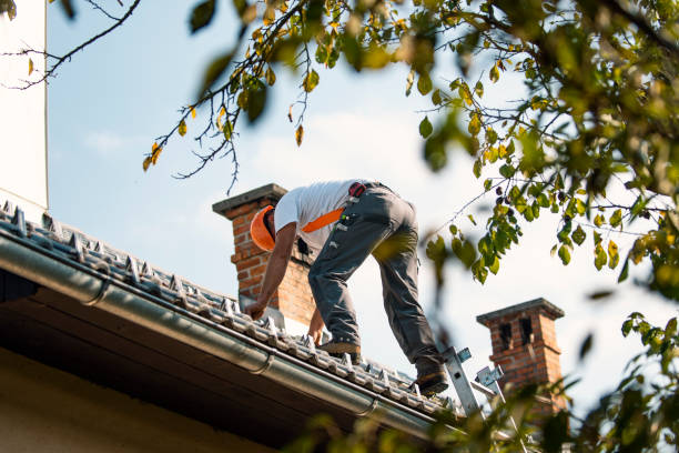 Professional Roofing Contractor in Edwardsville, KS